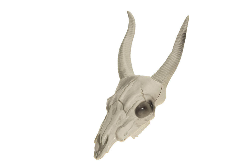 Skelett Büffel Schädel "Longhorn" - 40 cm | Halloween Dekoration Geweih
