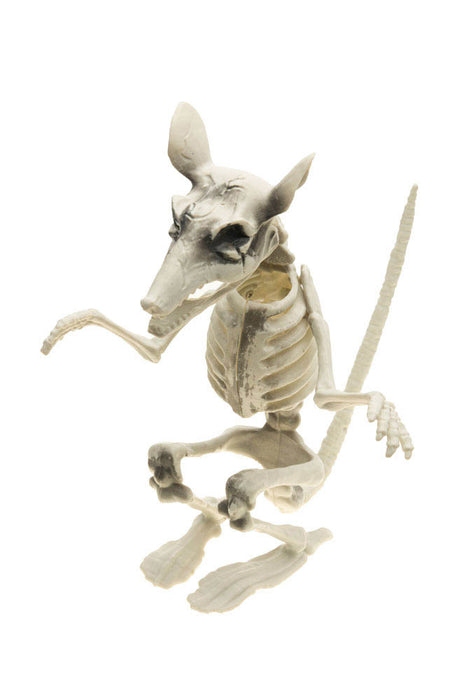 Gruselige Skelett Ratte - 29 cm - Halloween Deko | Beige