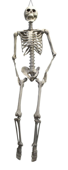 XXL Skelett "Otto" Halloween Hängefigur - 175 cm | Lebensechte Dekoration