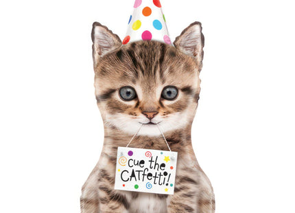 ABC Shape Katze "Cue the Catfetti!" 104 cm