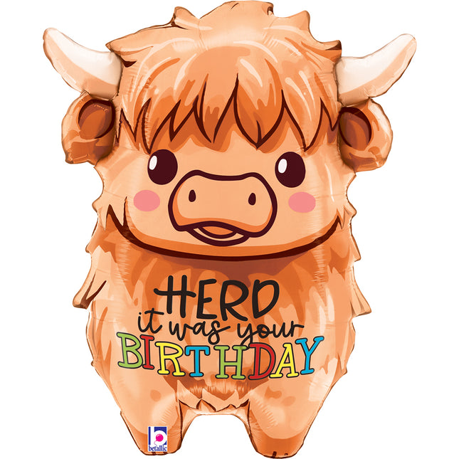 ABC Shape Kuh "Hero it was your Birthday" 69 cm