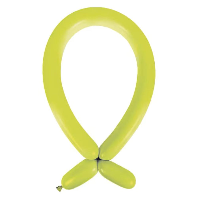 Modelling Ballons 260Q 100St. | Kiwi