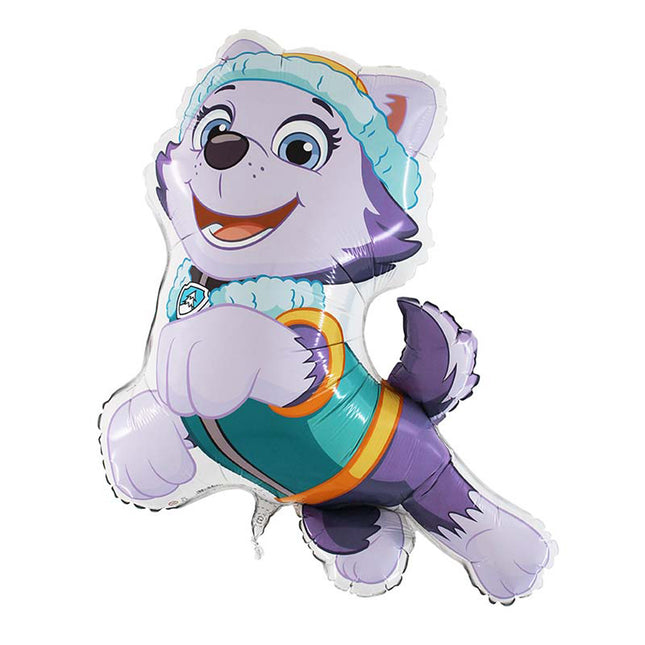 ABC Shape Paw Patrol Everest