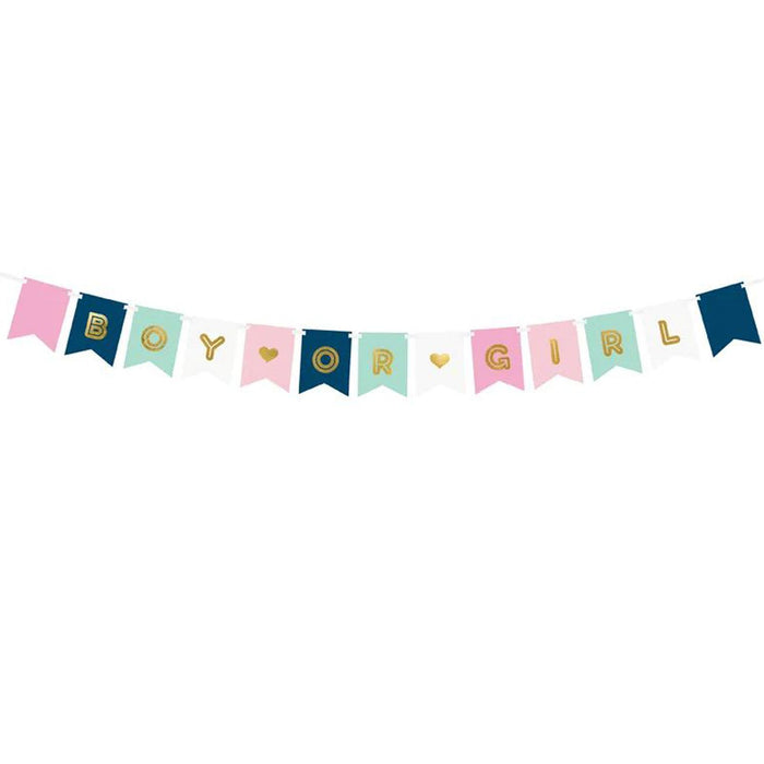 Banner "Boy or Girl" Bunt | 15 x 175 cm