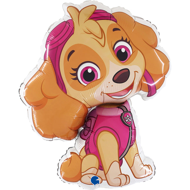 ABC Shape Paw Patrol Skye