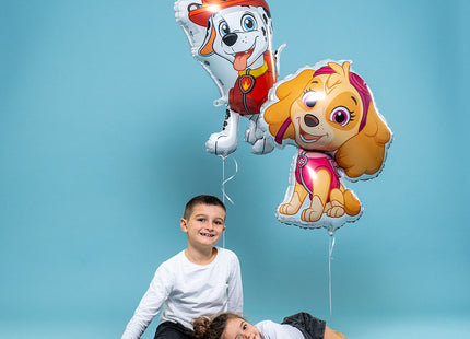 ABC Shape Paw Patrol Skye